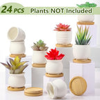 Remerry 24 Pcs 2.5 Inch Mini DIY Ceramic Succulent Pots with Bamboo Tray - Image 2