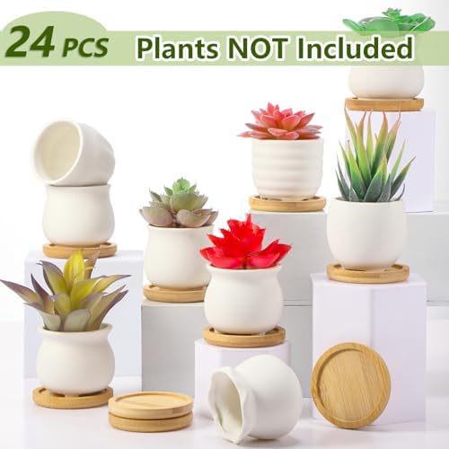 Remerry 24 Pcs 2.5 Inch Mini DIY Ceramic Succulent Pots with Bamboo Tray - Image 2