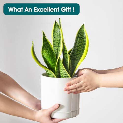 vancasso Ceramic Planters, Plant Pots for Indoor Plants, 6.25+8.25+10.25 Inch Ceramic Pots for Plants, Flower Pots with Drainage Holes, Planters Pot for Indoor House Plant, Set of 3, White - Image 6