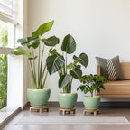 Ceramic Pots for Plants, 10/8/6 Inch Flower Pots Indoor, Green - Image 2