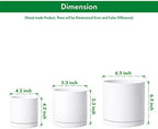 D'vine Dev 3-Pack White Terracotta Pots & Saucers, 4/5/6 in, 40-T-A-1 - Image 3