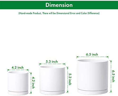 D'vine Dev 3-Pack White Terracotta Pots & Saucers, 4/5/6 in, 40-T-A-1 - Image 3
