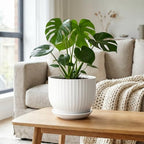 8 Inch Ceramic Plant Pot,White - Image 5