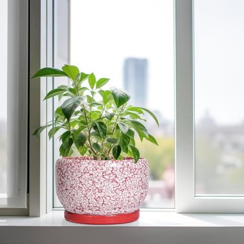 SQOWL Ceramic Planters for Indoor Plants - 10 Inch Flower Pots with Drainage Hole and Saucer, Decorative Ceramic Plant Pots, Round Large Planter Outdoor, Room Decor, Housewarming Gifts, Red and White - Image 4