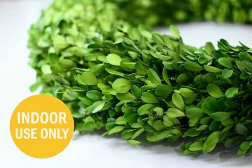 Preserved Boxwood Wreath 24 Inch Oversized – Real Greenery Spring Summer & Year-Round Indoor Décor, Farmhouse Wall Door & Mantel, Fade-Resistant - Image 2