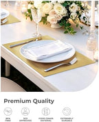 Leetaltree Gold Frame Placemats Set of 12 - Heat Resistant Woven Vinyl - Image 6