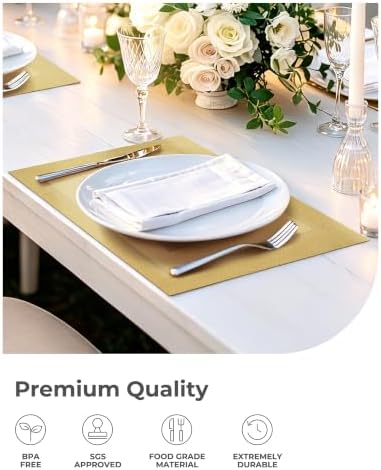 Leetaltree Gold Frame Placemats Set of 12 - Heat Resistant Woven Vinyl - Image 6