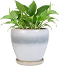 Ceramic Plant Pot - 6 Inch Ceramic Pots Indoor, White-Grey by EPFamily