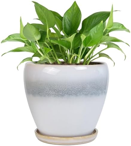 Ceramic Plant Pot - 6 Inch Ceramic Pots Indoor, White-Grey by EPFamily