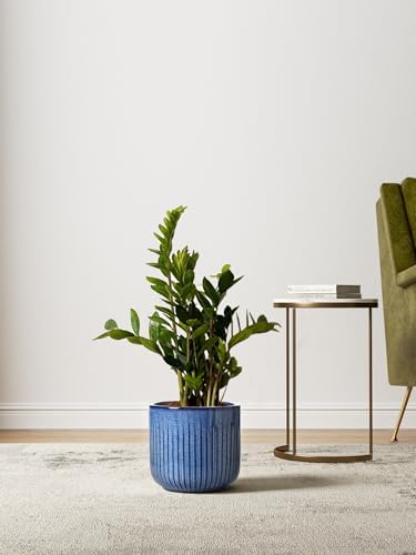 LE TAUCI Ceramic Plant Pots, 8.3/7/6 Inch Indoor Planters with Drainage Holes & Mesh, Modern Glossy Glaze Cylinder Fluted Flower Pot for Snake Plant, Set of 3, Harbor Blue - Image 4