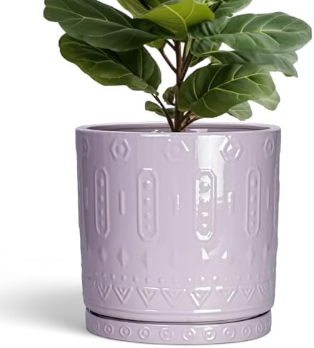 Eightpot Ceramic Plant Pots, 12 Inch Pots for Plants Indoor Outdoor, Round Planter with Drainage Hole and Tray, Modern Decorative Flower Pot, Home Apartment Decor, House Warming Gifts, Purple by Eightpot