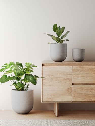 LE TAUCI 10 Inch Plant Pot, Ceramic Pots for Plants, Neutral Gray - Image 3