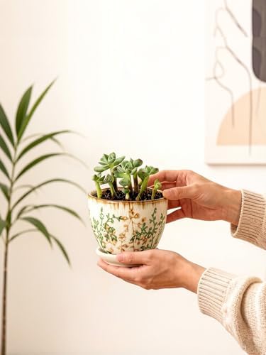 Ceramic Plant Pots, Nursery Pots with Drainage Hole, 3.5 Inch Succulent Pots for Plants, Small Indoor Flower Pots, Modern Decorative Planters for House Plants, Garden Planters, White Green - Image 6