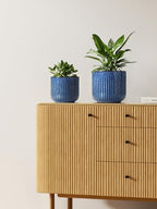 LE TAUCI Ceramic Plant Pots, 8.3/7/6 Inch Indoor Planters with Drainage Holes & Mesh, Modern Glossy Glaze Cylinder Fluted Flower Pot for Snake Plant, Set of 3, Harbor Blue - Image 3