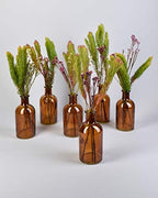 Serene Spaces Living Bud Vases, Apothecary Jars, Decorative Glass Bottles, Centerpiece for Wedding Reception, Mini Flower Vases, Small Medicine Bottles for Home Decor (Amber, Set of 48) - Image 2