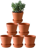 Terra Cotta Pots with Saucer- 6-Pack Large Clay Pots 5.5'' Ceramic Pottery Planter Cactus Flower Succulent Pot with Drainage Hole- Great for Plants,Crafts terra cotta planter by Yishang