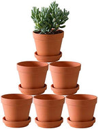 Terra Cotta Pots with Saucer- 6-Pack Large Clay Pots 5.5'' Ceramic Pottery Planter Cactus Flower Succulent Pot with Drainage Hole- Great for Plants,Crafts terra cotta planter by Yishang