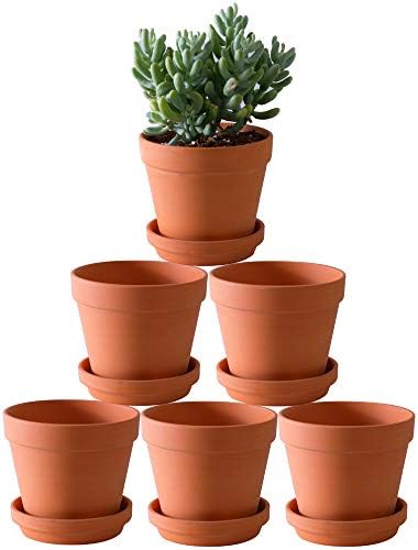 Terra Cotta Pots with Saucer- 6-Pack Large Clay Pots 5.5'' Ceramic Pottery Planter Cactus Flower Succulent Pot with Drainage Hole- Great for Plants,Crafts terra cotta planter by Yishang