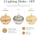 Silver Mercury Glass Pumpkin Light with 2 Lighting Modes and 6-Hour Timer, 5.5 x 6 Inch Battery Operated Fall Decor for Thanksgiving and Christmas Table Centerpiece - Image 4