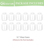 Glasseam Bud vases Set of 12: Glass Vases for Centerpieces Modern Small Vases for Home Table Shelf Wedding Party Decoration - Clear Vase for Flowers Stem Roses Tuilps Cuttings - Image 7