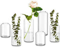 Glasseam Glass Bud Vases for Centerpieces, 6Pcs Modern Clear Small Vase Set by Glasseam
