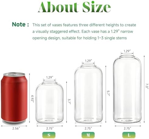 Glasseam Glass Bud Vases for Centerpieces, 6Pcs Modern Clear Small Vase Set - Image 4