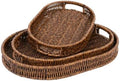Set of 3 Serving Tray for Foods & Drinks, Faux Rattan Trays with Handles, Wicker Tray Handwoven Organizer Baskets Storage Decorative Coffee Table Brown by CBAOCBKVH