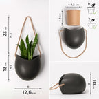 Kazai. Wall Planters -Ellie- | Hanging Ceramic Plant Pots 3 Pieces | Wall Decoration for Indoors, Balcony and Garden | Graphite (Matte) - Image 5