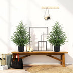 2FT Artificial Norfolk Pine Christmas Tree, Small Unlit Potted - Image 2