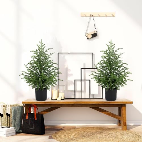 2FT Artificial Norfolk Pine Christmas Tree, Small Unlit Potted - Image 2