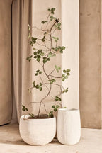 Artificial Ivy Garland, 48 Inch Faux Greenery Vine Garland, 2 Strands - Image 6