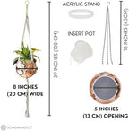 SCANDINORDICA Disco Ball Planter, Value Package, 8-inch Rose Gold - Image 3