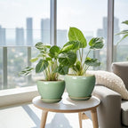 Ceramic Pots for Plants, 10/8/6 Inch Flower Pots Indoor, Green - Image 5