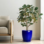 Ceramic Planter Pot - 10 Inch Plant Pot Indoor with Drainage Hole and Saucer Round Planter Large Modern Decorative Flower Pot Outdoor Garden Pot Blue - Image 2