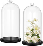 Suclain 2 Pcs 6 x 10 Inch Cloche Glass Dome with Base Bell Jar, Black by Suclain