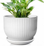 8 Inch Ceramic Plant Pot,White by YUFDA