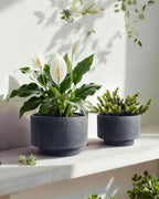Succulent Pots, 8"+6" Plant Pots, Ceramic Planters for Indoor Plants - Image 3
