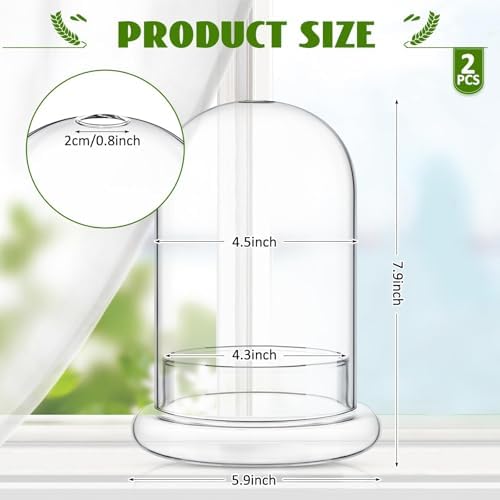 2 Pcs 5.9 x 7.9 Inch Clear Glass Dome Terrarium with Air Hole & Base - Image 2