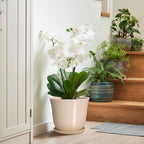 Ceramic Planter, 10 Inch Plant Pot for Indoor Plants, Beige - Image 6