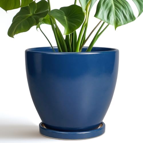 Ceramic Plant Pot - 8 Inch Planter for Indoor Outdoor Plants, Round Flower Pots with Drainage and Tray, Home Office Decor, Blue by EPFamily