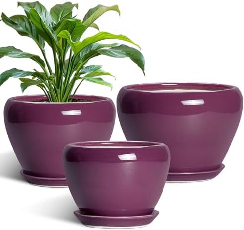 10+8+6 Inch Ceramic Plant Pots, Ceramic Planter for Indoor Outdoor Plants, Round Planter with Drainage Holes and Saucers, Indoor Flower Pots, Room Decor, Housewarming Gift, Set of 3, Purple by EPFamily