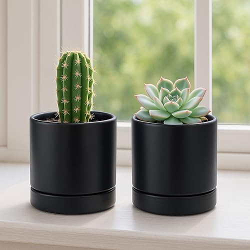 D'vine Dev 4-Pack Ceramic Pots with Saucers, Black, 4.7 in, 94-X-B-2 - Image 6