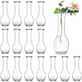 ZOOFOX Set of 16 Glass Bud Vase, Small Vases for Single Rose, Clear Glass Flower Bottle for Rustic Wedding Centerpieces, Home Table Flower Decor, Floral Arrangements by zoofox