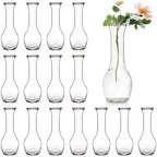 ZOOFOX Set of 16 Glass Bud Vase, Small Vases for Single Rose, Clear Glass Flower Bottle for Rustic Wedding Centerpieces, Home Table Flower Decor, Floral Arrangements by zoofox