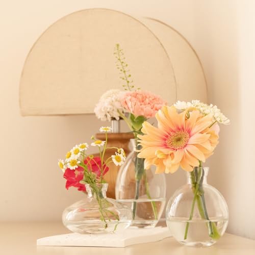 Glass Bud Vase Set of 28 Pcs for Rustic Wedding Centerpieces - Image 5