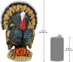 Design Toscano QM2373100 North American Turkey Statue,full color,Small - Image 6
