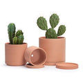 D'vine Dev 3-Pack Classic Terracotta Pots & Saucers, 5/6/8 in, 40-T-B-0 by DvineDevPlanterPotsandStand