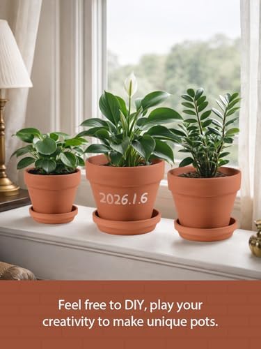 INGOFIN Terracotta Pots Set with Saucer - 5/6/7 inch Ceramic Clay Planters with Drainage Hole, Garden Flower Succulent Pots with Tray for Indoor Outdoor Plants, Set of 3 - Image 6