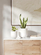 LE TAUCI 8 Inch Ceramic Plant Pot, Indoor Planter, White - Image 3