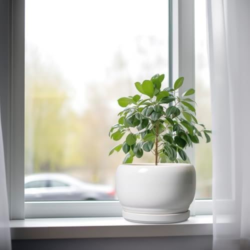 SQOWL Ceramic Planters for Indoor Plants - 8 Inch Plants Pot, Round Outdoor Flower Pot with Drainage Hole and Saucer, Decorative Modern Planter, Kitchen Decor, House Gifts, White - Image 4